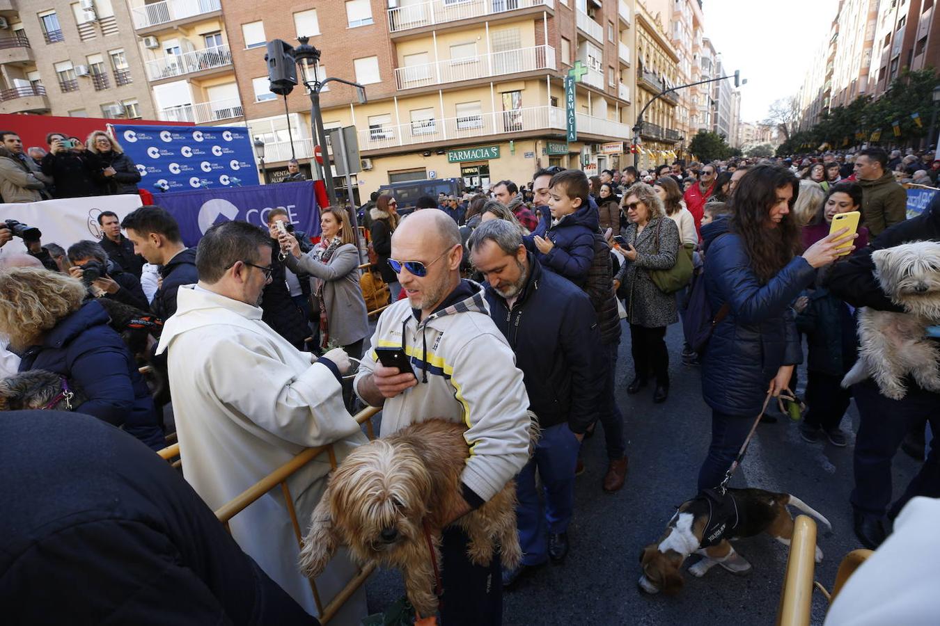 Fotos: Las mascotas celebran San Antonio en Valencia