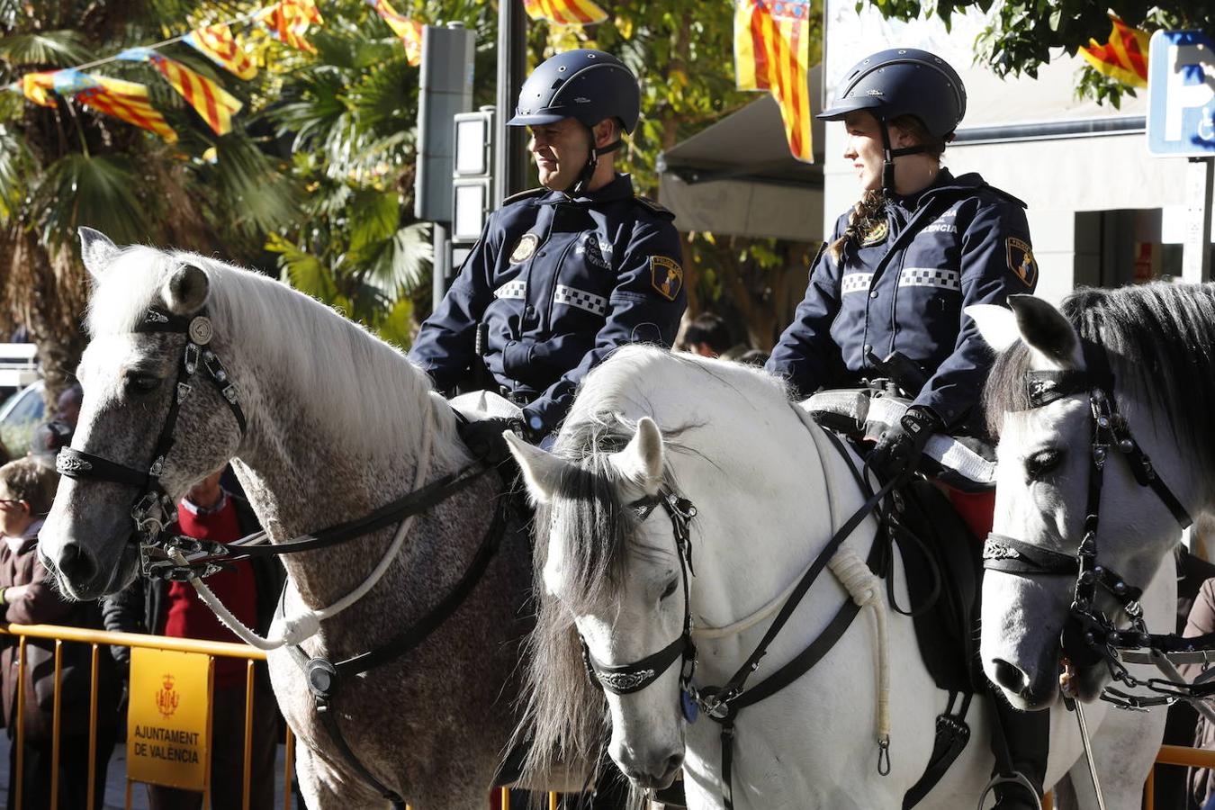 Fotos: Las mascotas celebran San Antonio en Valencia