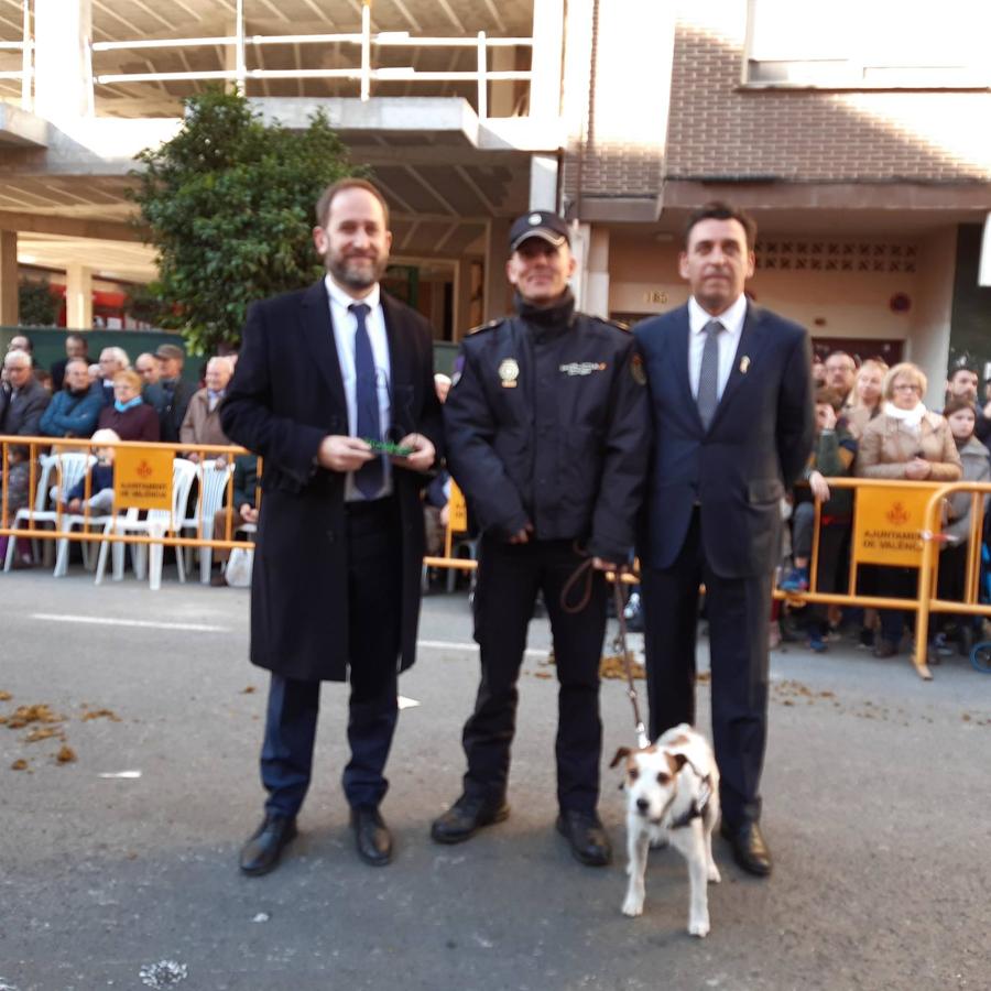 Fotos: Las mascotas celebran San Antonio en Valencia