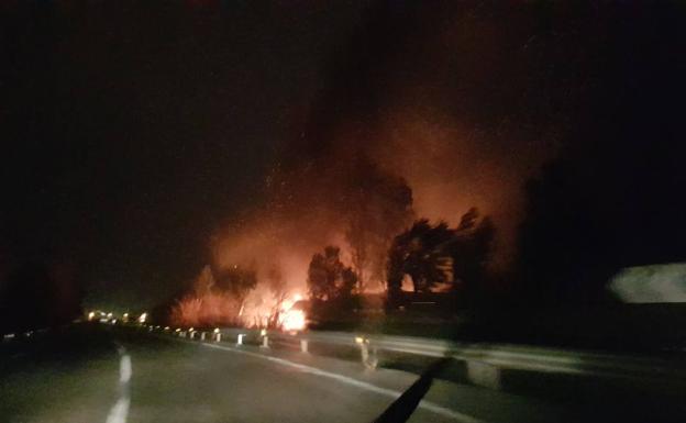 Incendio en el camping de Les Palmeres en Sueca. 