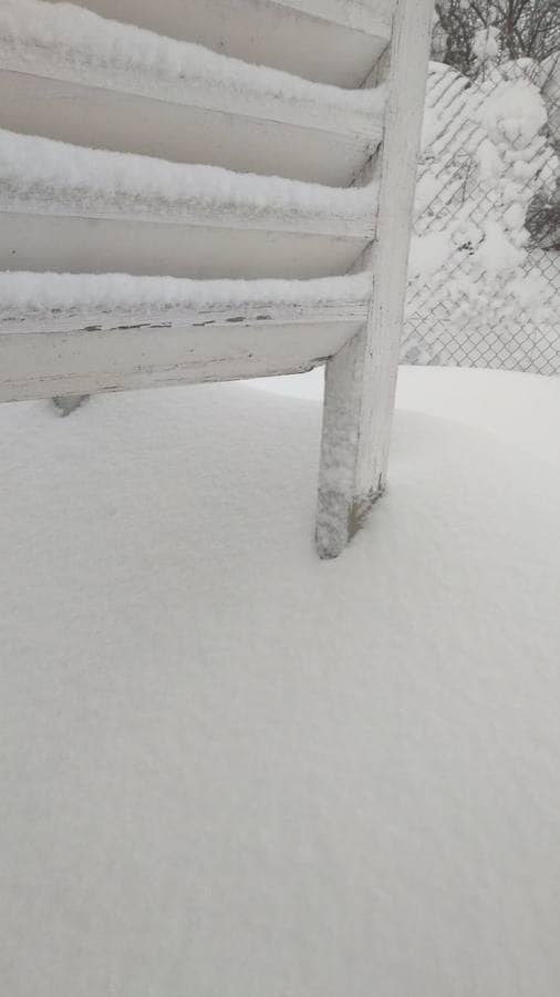 El temporal está siendo más adverso que el de 2017 en la comarca de Els Ports. Según informa la Aemet. a las 10 h del martes el espesor de la capa de nieve en Vilafranca era de 86 cm y ha seguido nevando toda la mañana. En el año 2017, el espesor máximo en Vilafranca fue 74 cm. La Diputación de Castellón ha calificado la nevada como «histórica». La estación de Aemet de Morella y la de Vilafranca son centenarias; comenzaron sus observaciones en 1916.