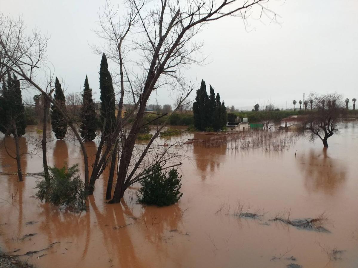 Alzira.