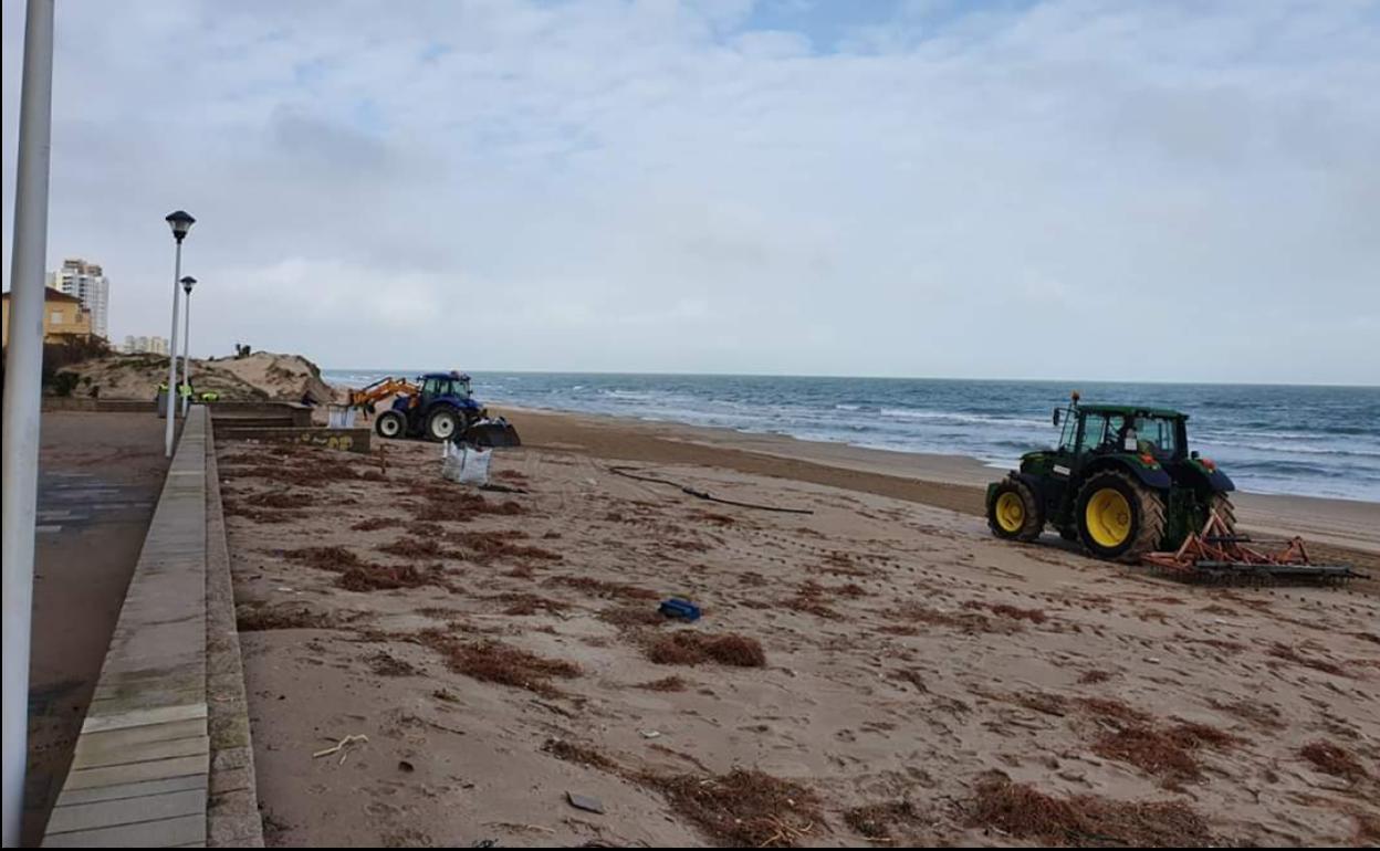 Trabajos de limpieza en las playas de Sueca.