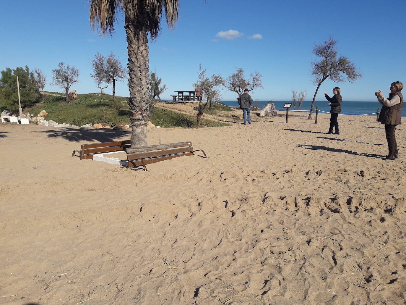 Bancos sepultados de arena en la playa de La Goleta en Tavernes de la Valldigna