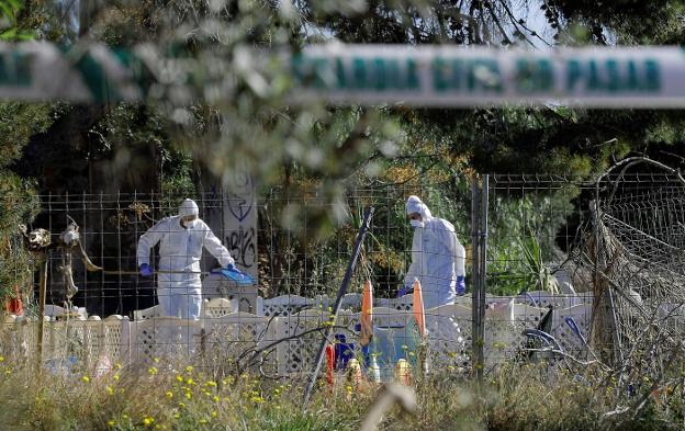 Hallan ADN de un delincuente en dos de las pruebas del crimen de los niños de Godella 