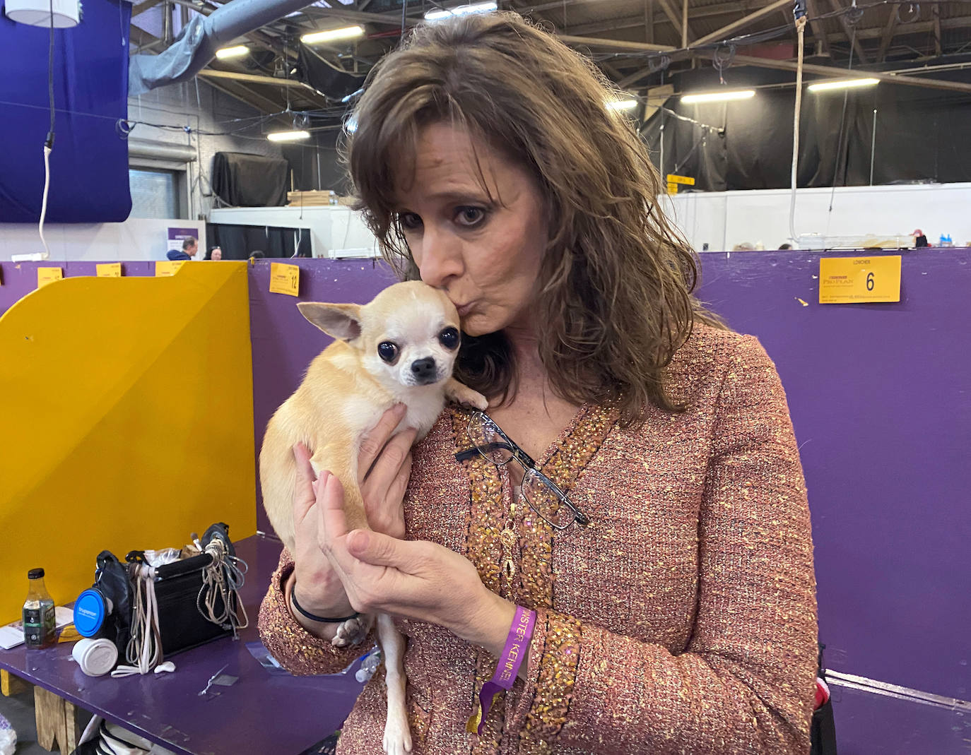 Un caniche llamado Shiba ha sido coronado 'Best in Show'' (el mejor perro) en el concurso anual Westminster Kennel ClubDog Show celebrado esta semana en Nueva York. 