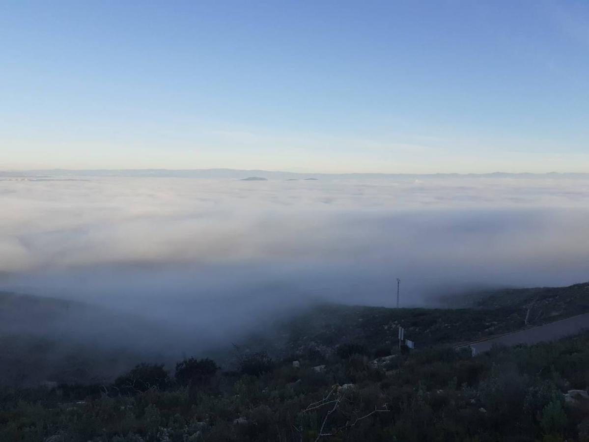 Fotos: La niebla cubre Valencia