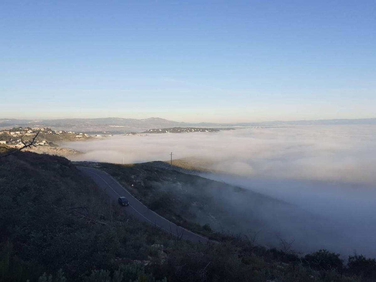 Fotos: La niebla cubre Valencia