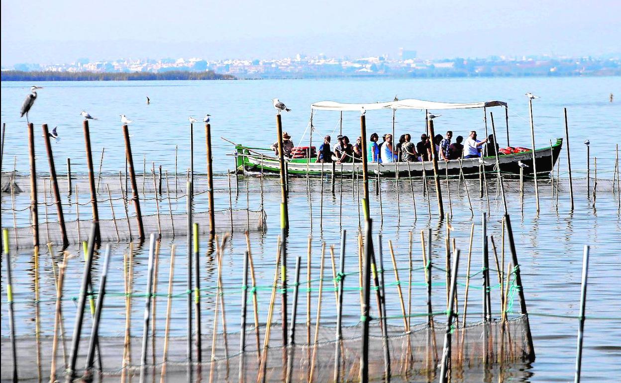 Paseo recreativo en la Albufera. Al fondo se aprecia la ciudad.