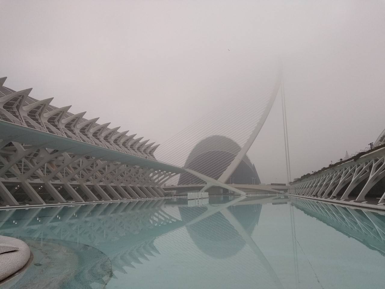 Fotos: La niebla cubre Valencia