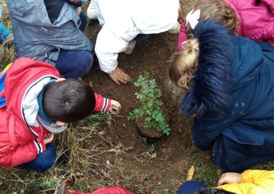 Imagen secundaria 1 - Arriba: Uno de los talleres de las Academias de niños de Plant for the Planet. Izquierda: Niños plantando un árbol en el marco de la iniciativa 'La Gran Bellotada'. Derecha: Uno de los árboles plantados por One Oak con el nombre de Gonzalo.