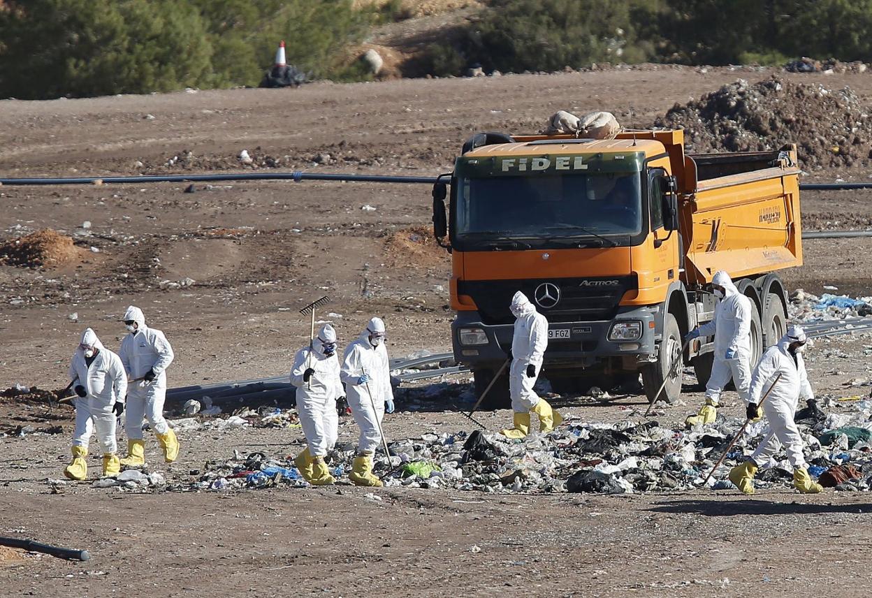 Uno de los equipos de guardias civiles que rastrearon la basura en el vertedero de Dos Aguas. jesús signes