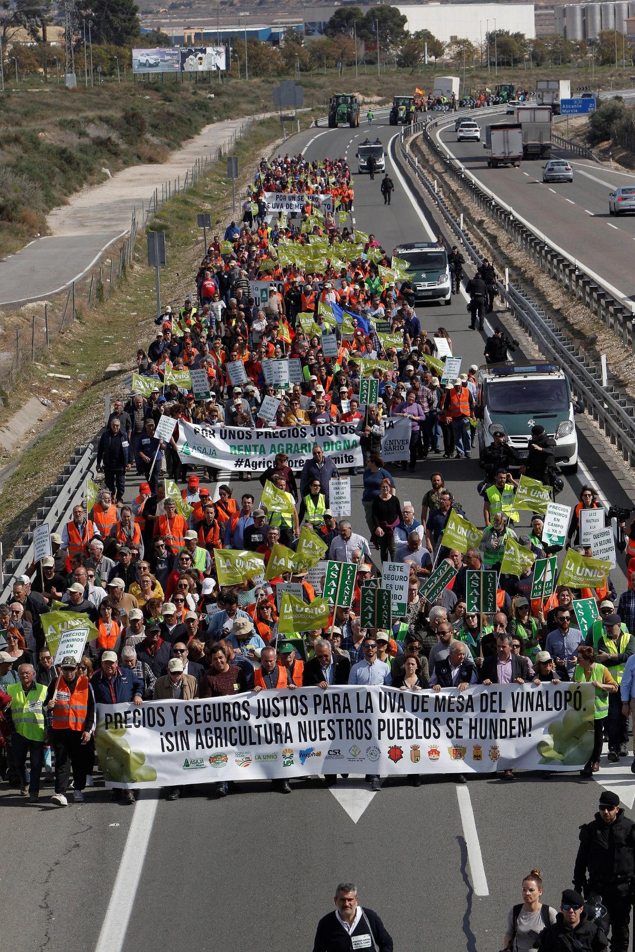 Parte de los manifestantes durante el corte de la autovía A-31, ayer entre Novelda y Monforte del Cid. efe