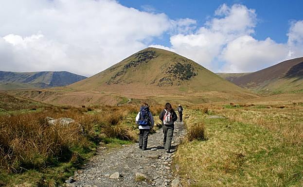 Formación Profesional | El Gobierno crea un nuevo título de FP