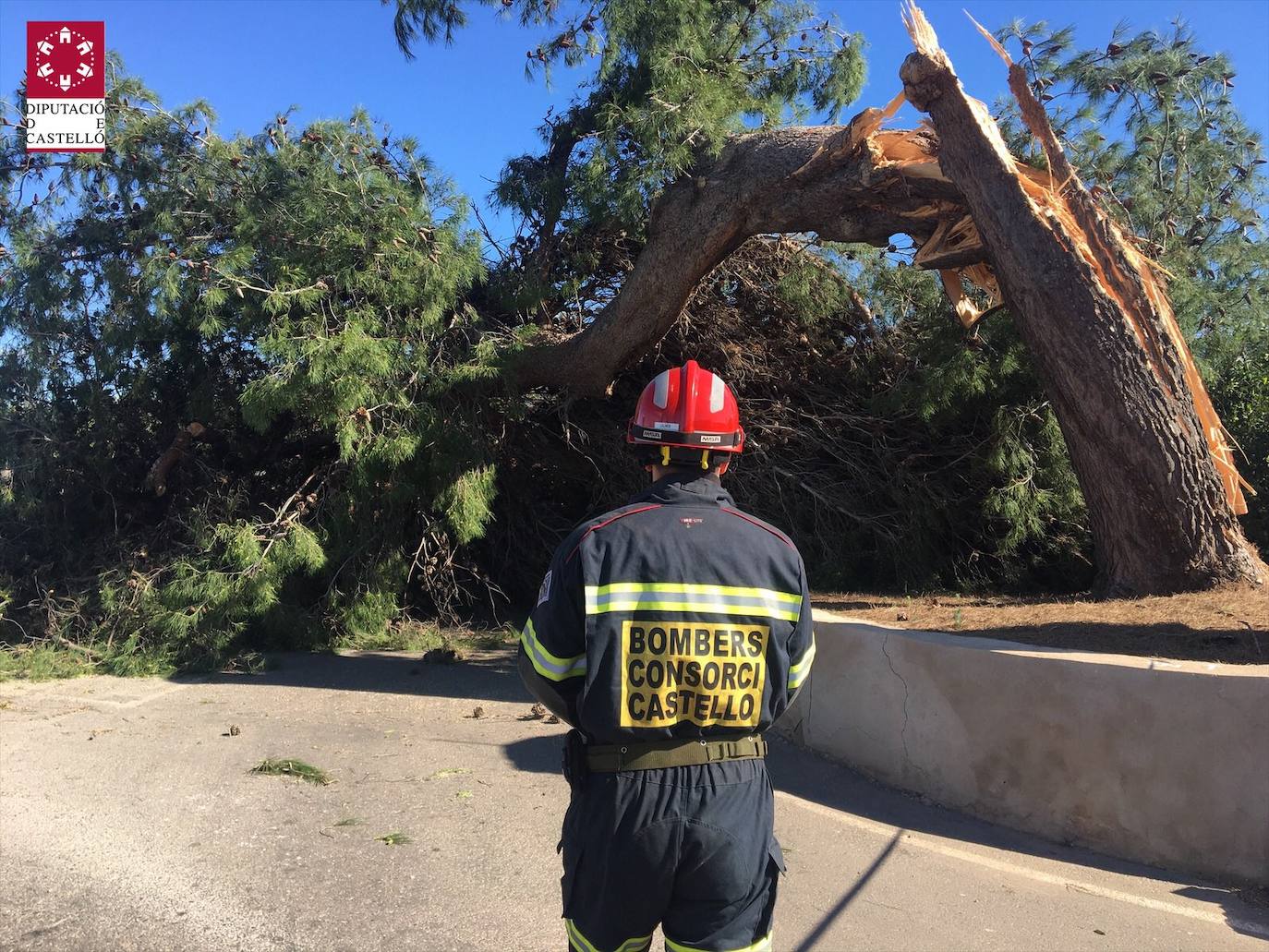 Bomberos de Castellón atienden casi medio centenar de avisos durante la mañana por el viento