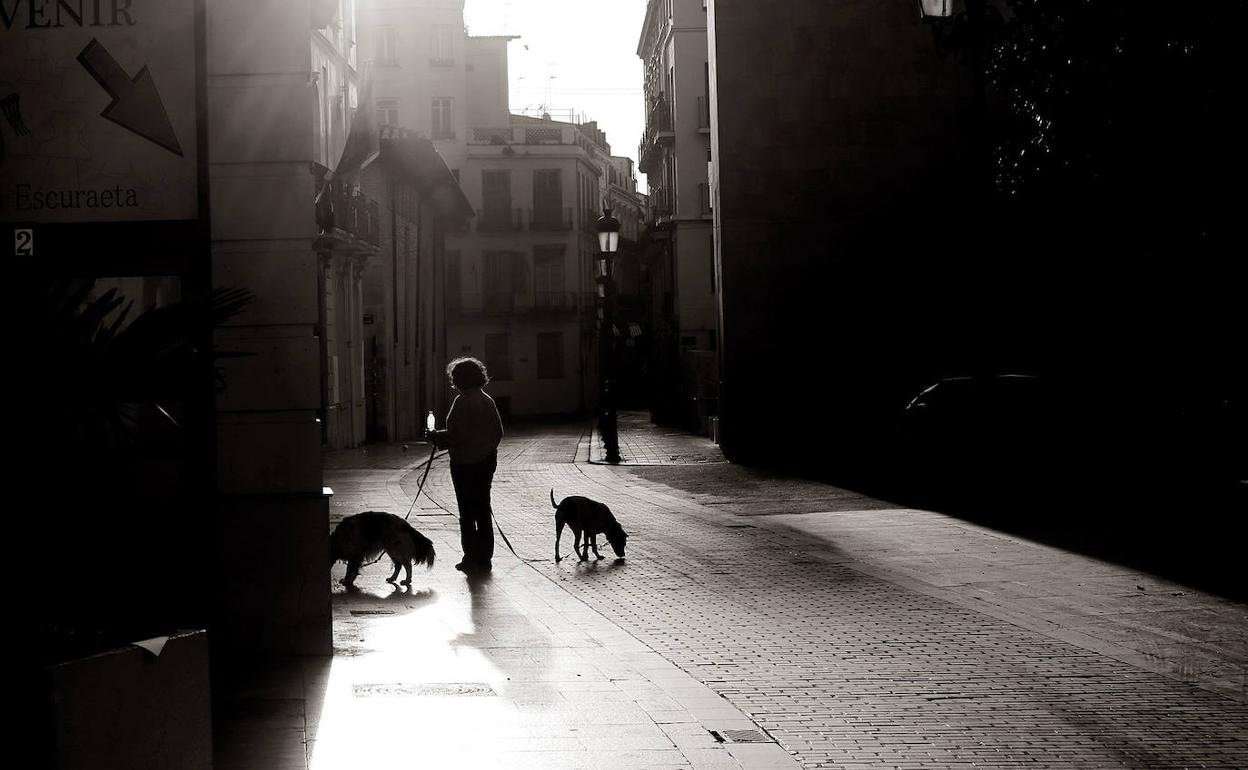 Una mujer pasea a sus perros durante el estado de alarma en Valencia.