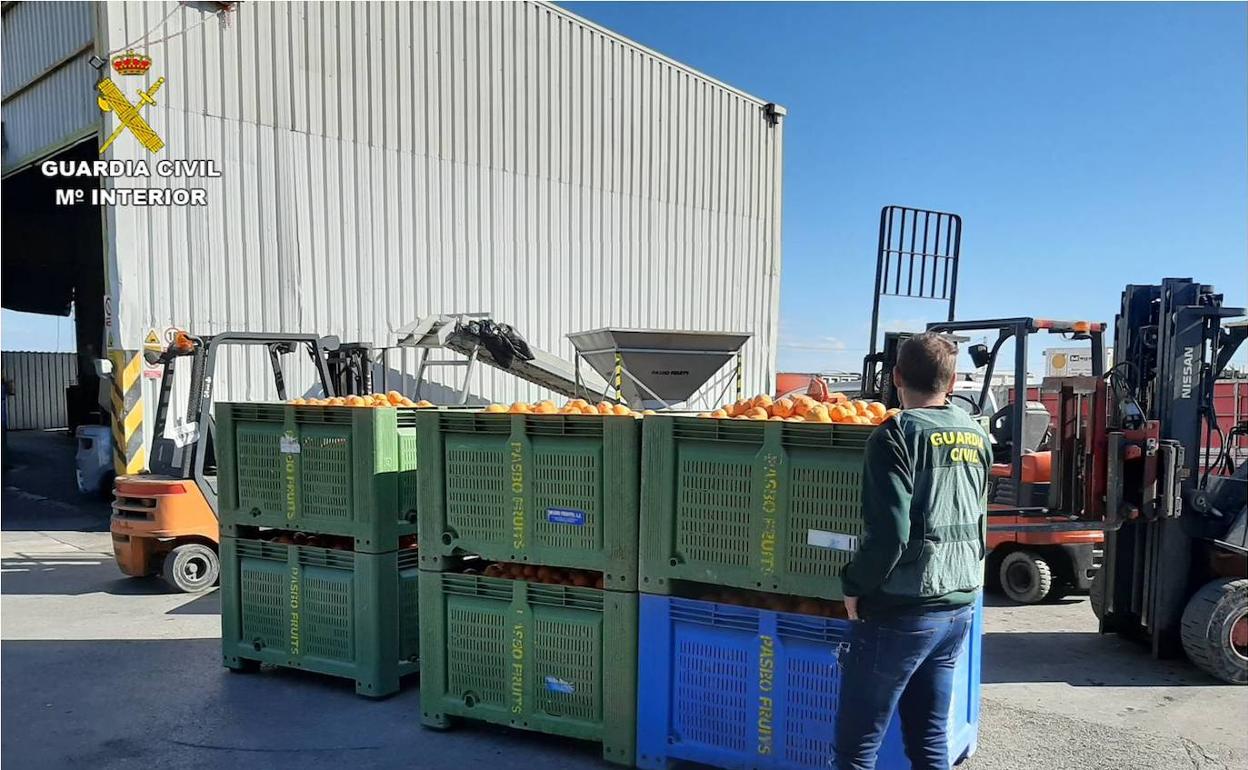 Un agentes del equipo ROCA de Calp junto a cajas de naranjas. 