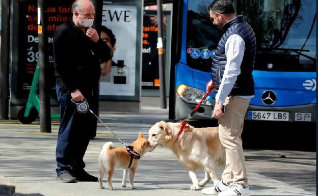 Dos hombres pasean a su perros en Madrid. 