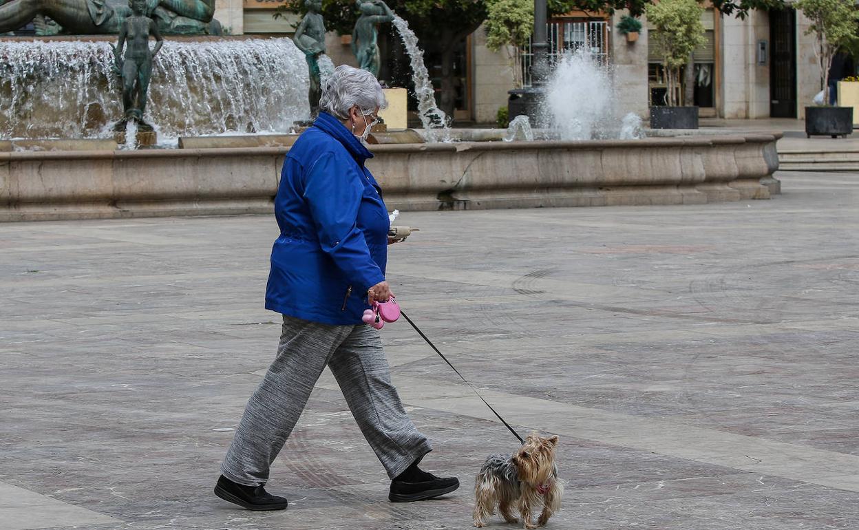 Una mujer pasea a su perro con mascarilla en Valencia. 