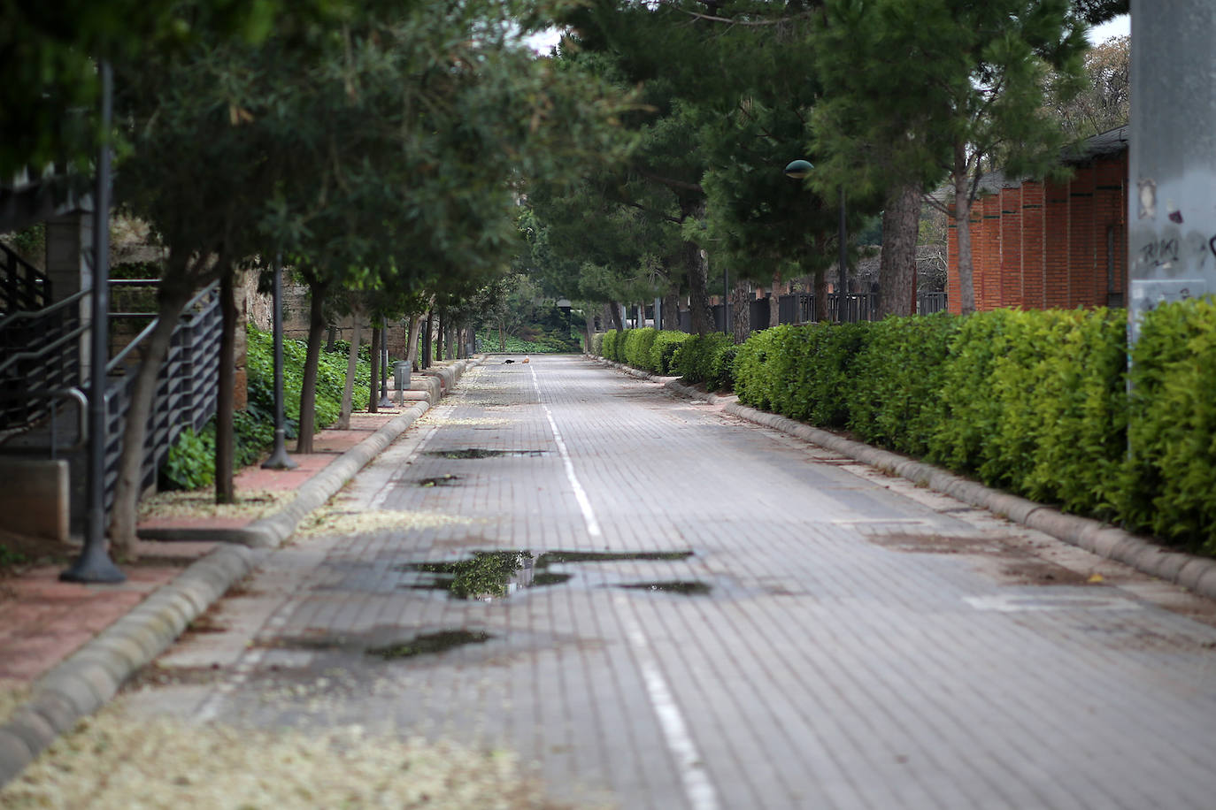 La vida sigue en el cauce del Turia, que ahora es un lugar prohibido.