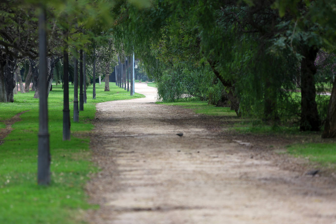 La vida sigue en el cauce del Turia, que ahora es un lugar prohibido.