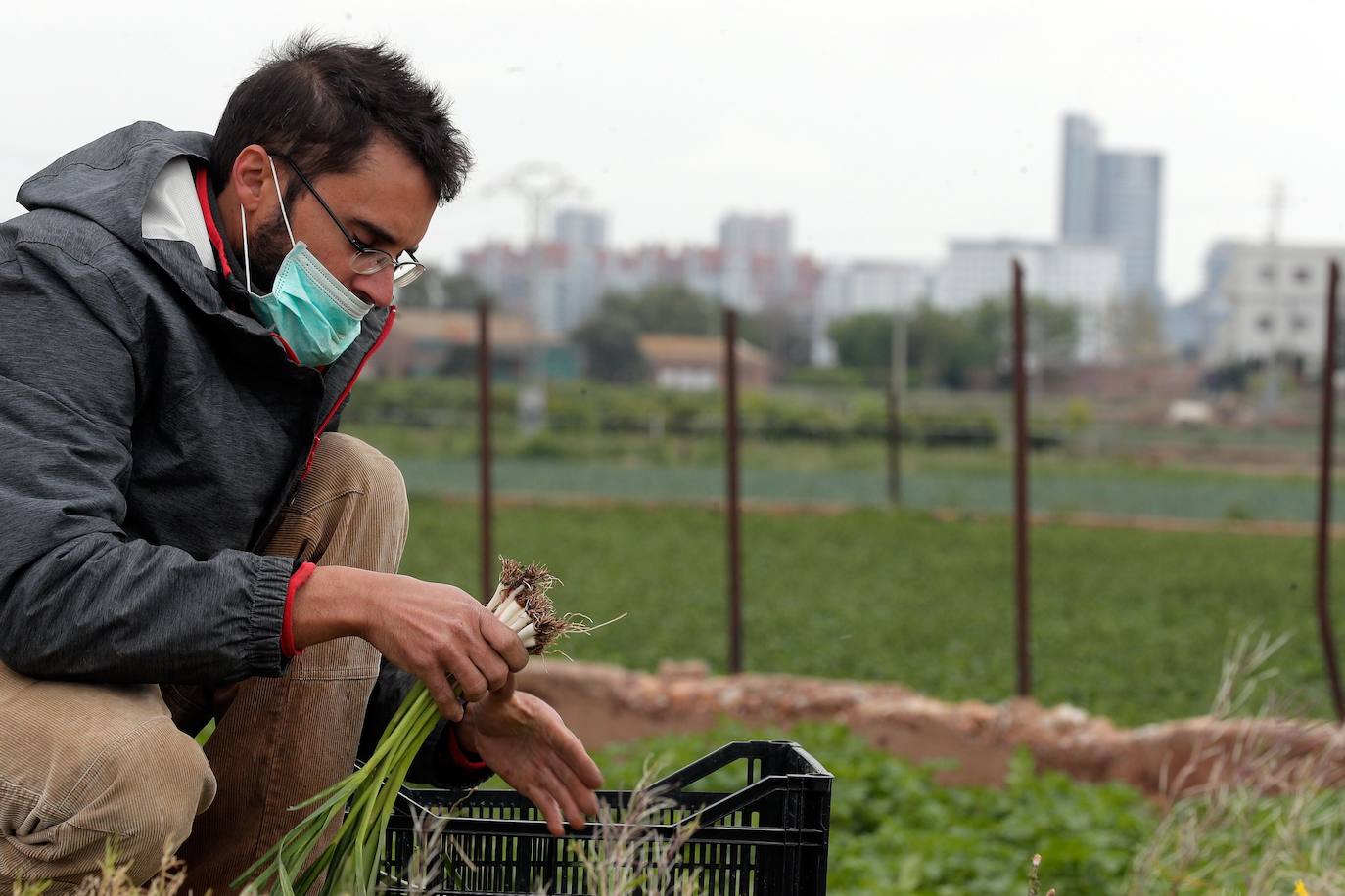 Valencia y el resto de las localidades de la Comunitat luchan como pueden contra la pandemia. 