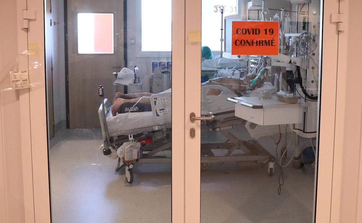 Un infectado de coronavirus recibe tratamiento en la unidad de cuidados intensivos de la clínica belga MontLegia CHC, en Lieja.