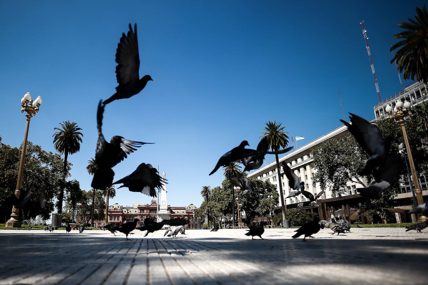 Plaza de Mayo en Buenos Aires (Argentina).