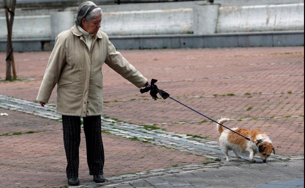 Mujer paseando al perro durante el estado de alarma por el coronavirus.