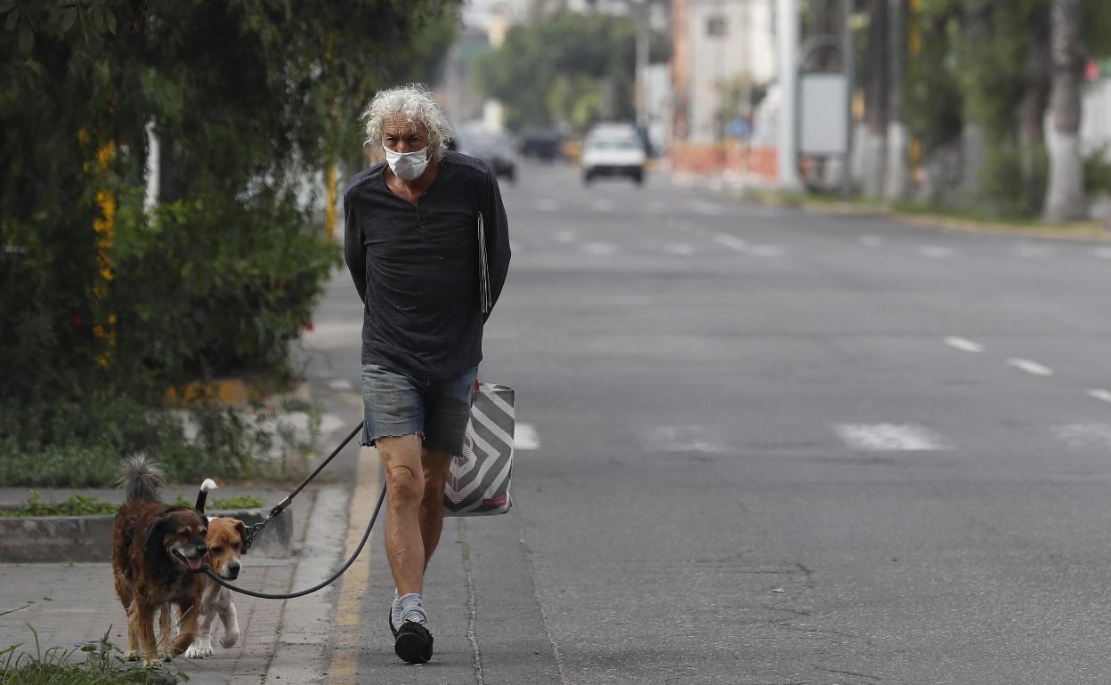 Un hombre con mascarilla pasea a sus mascotas. 