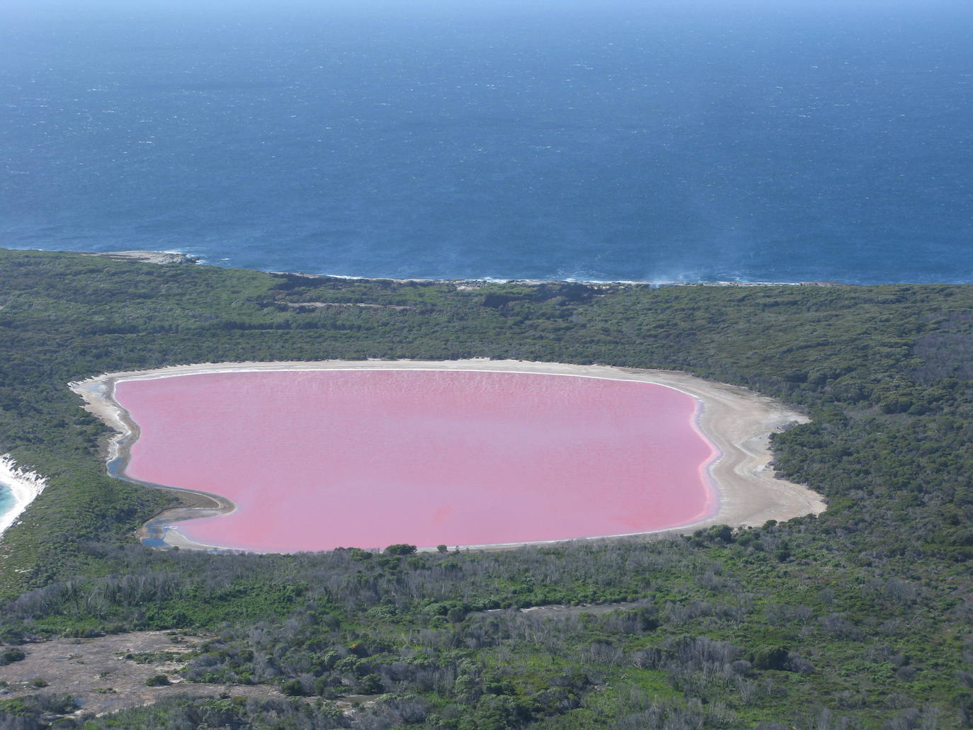 Lago Hillier (Australia) | Sus aguas rosadas se deben a la elevada presencia de un tipo de algas que contienen un elevado porcentaje de betacaroteno, que provoca una pigmentación roja y anaranjada. El lago también tiene otro microorganismo rojo llamado arquea, que contribuye a su atípico color.