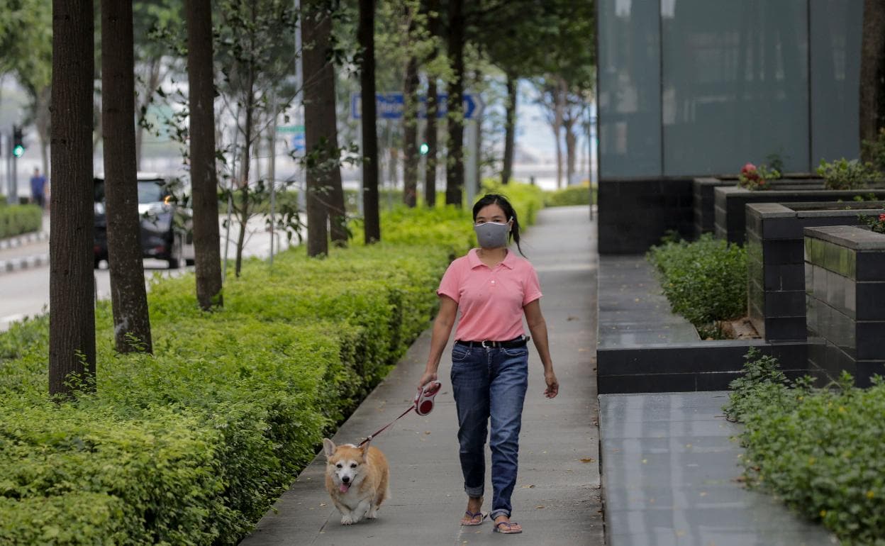 Una mujer pasea a su mascota en Singapore. 