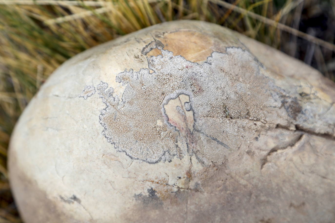 Fotos: Así es la Patagonia, el fin de la tierra