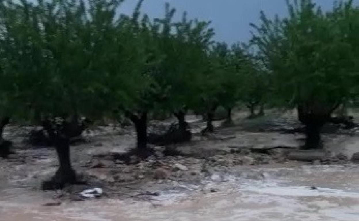 El mal encauzamiento del agua de lluvia provoca inundaciones en los campos. 