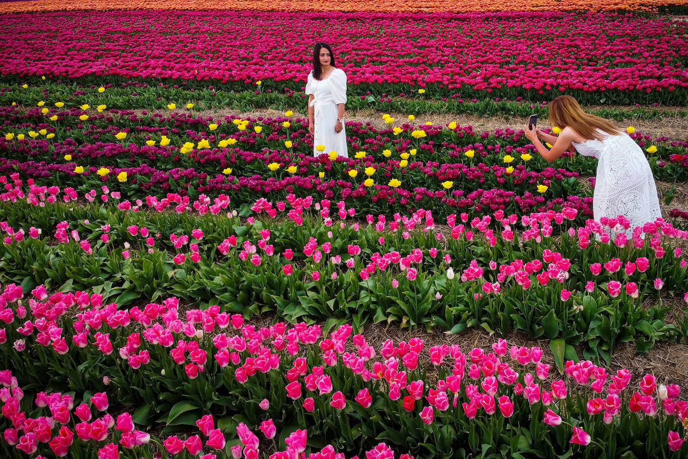 Grevenbroich, en Alemania, cuenta con 100 hectáreas donde reina el color. La primavera ha dejado una larga extensión de formas y tonalidades de todo tipo que se convierten anualmente en un reclamo para amantes de la fotografía y turistas. El colorido jardín es uno de los jardines naturales más grandes del mundo y sus flores configuran paisajes así de espectaculares.