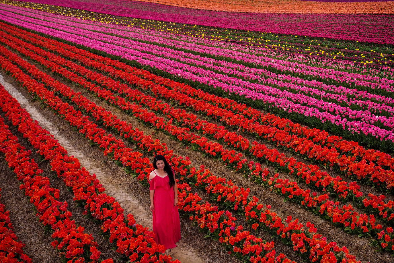 Grevenbroich, en Alemania, cuenta con 100 hectáreas donde reina el color. La primavera ha dejado una larga extensión de formas y tonalidades de todo tipo que se convierten anualmente en un reclamo para amantes de la fotografía y turistas. El colorido jardín es uno de los jardines naturales más grandes del mundo y sus flores configuran paisajes así de espectaculares.