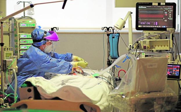 Imagen principal - 1. Un paciente con fallos multiorgánicos recibe medicación en la Unidad de Cuidados Intensivos del Hospital la Fe. 2. El protocolo para la colocación y retirada de los trajes de protección es muy riguroso. Mientras uno se lo pone un compañero repasa cada fase. 