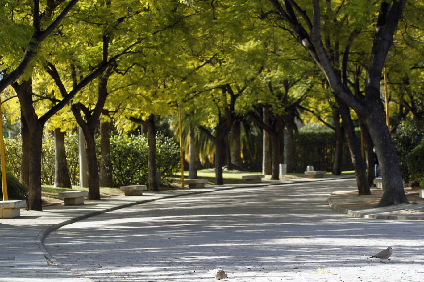 Parque de Benicalap