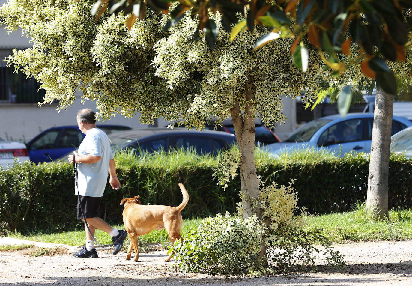 Entorno de la avenida Blasco Ibáñez