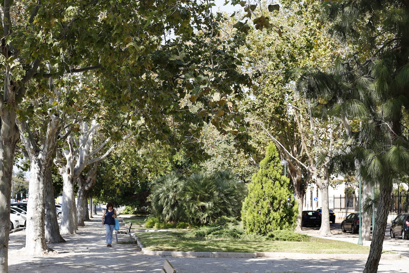 Paseo de la Alameda