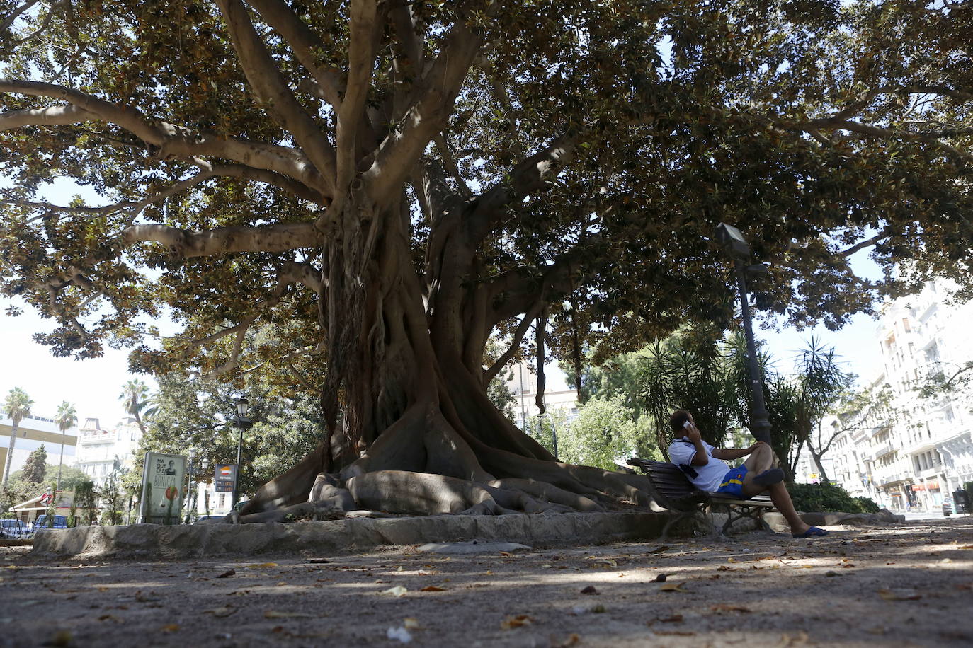 Plaza del Parterre