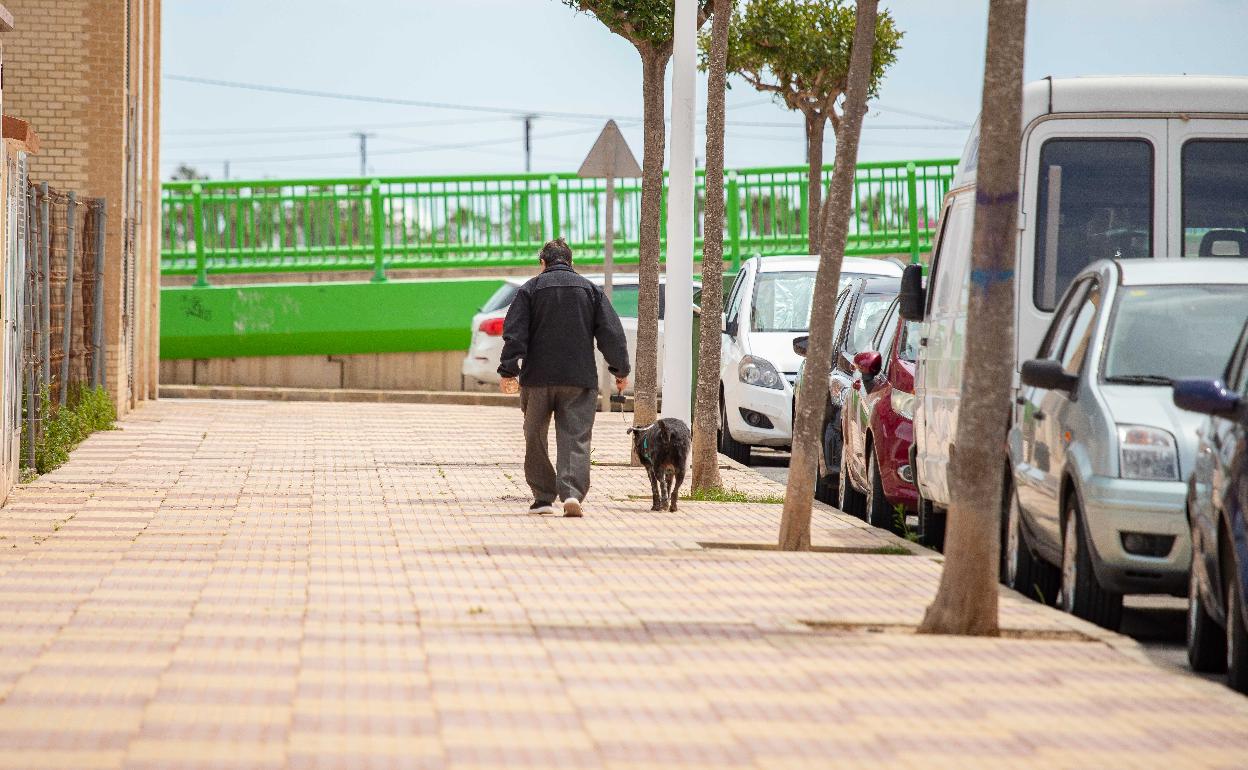 Los dueños de los perros tendrán que limpiar también los orines. 