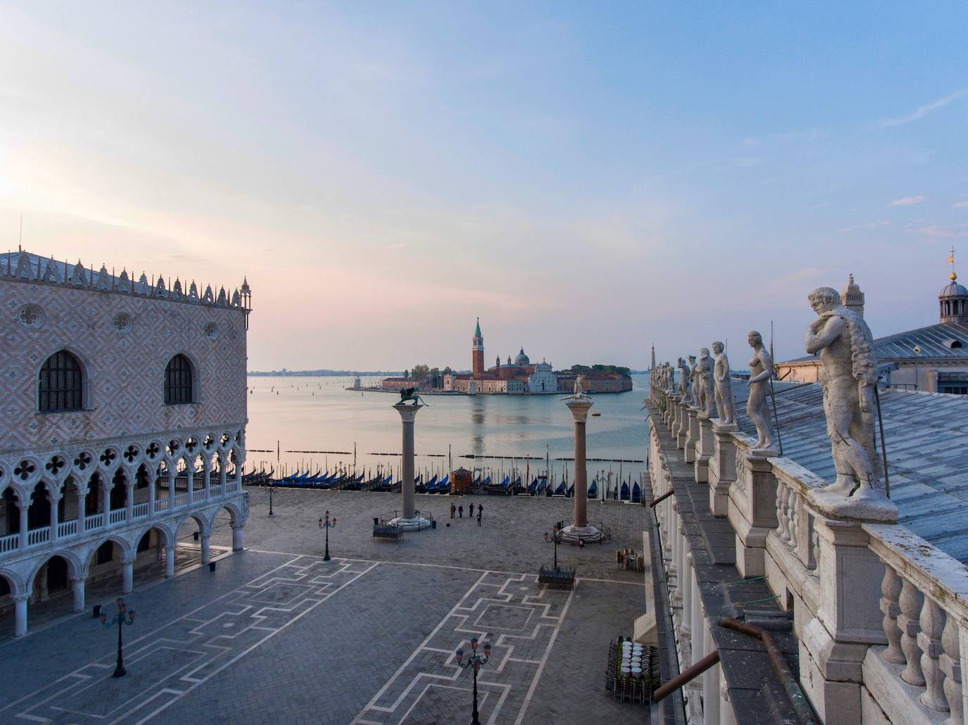 La pandemia del coronavirus ha dejado Venecia más solitaria y bella que nunca. Sin turistas desde principios de marzo, el agua ya no es removida por los miles de barcos, taxis, vaporetti, góndolas y embarcaciones privadas que lo hacen habitualmente. Algunos animales que estaban relegados en los canales más grandes o más amplios, pueden moverse ahora hasta el centro histórico de esta ciudad mágica. 