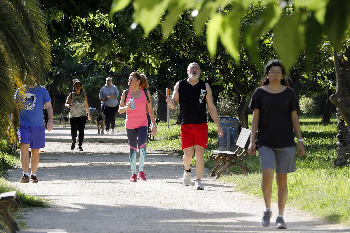 Fotos: Ciclistas, corredores y paseantes llenan de vida Valencia