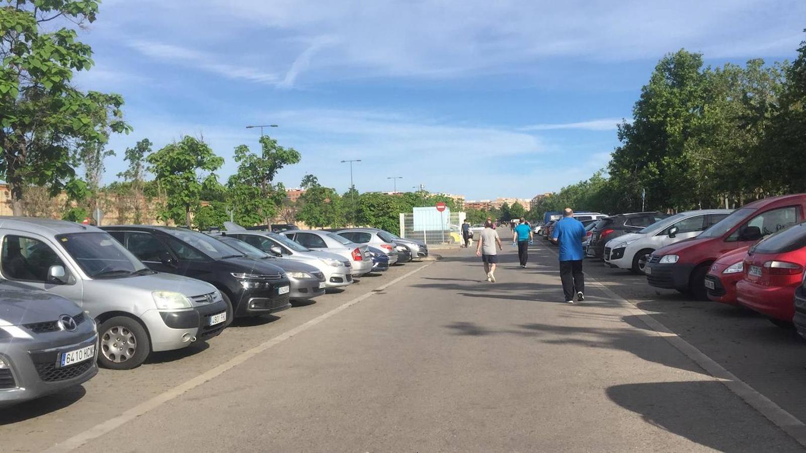 Fotos: Ciclistas, corredores y paseantes llenan de vida Valencia