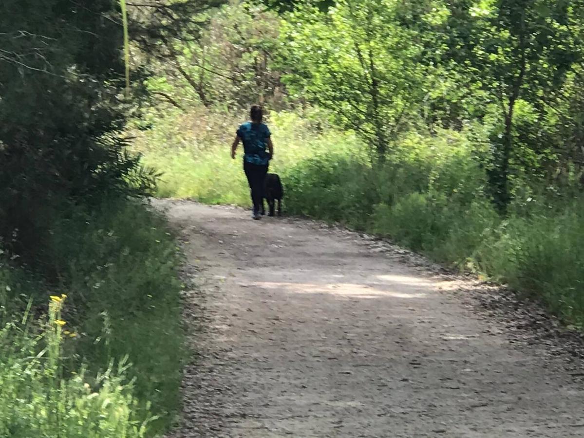 Fotos: Ciclistas, corredores y paseantes llenan de vida Valencia