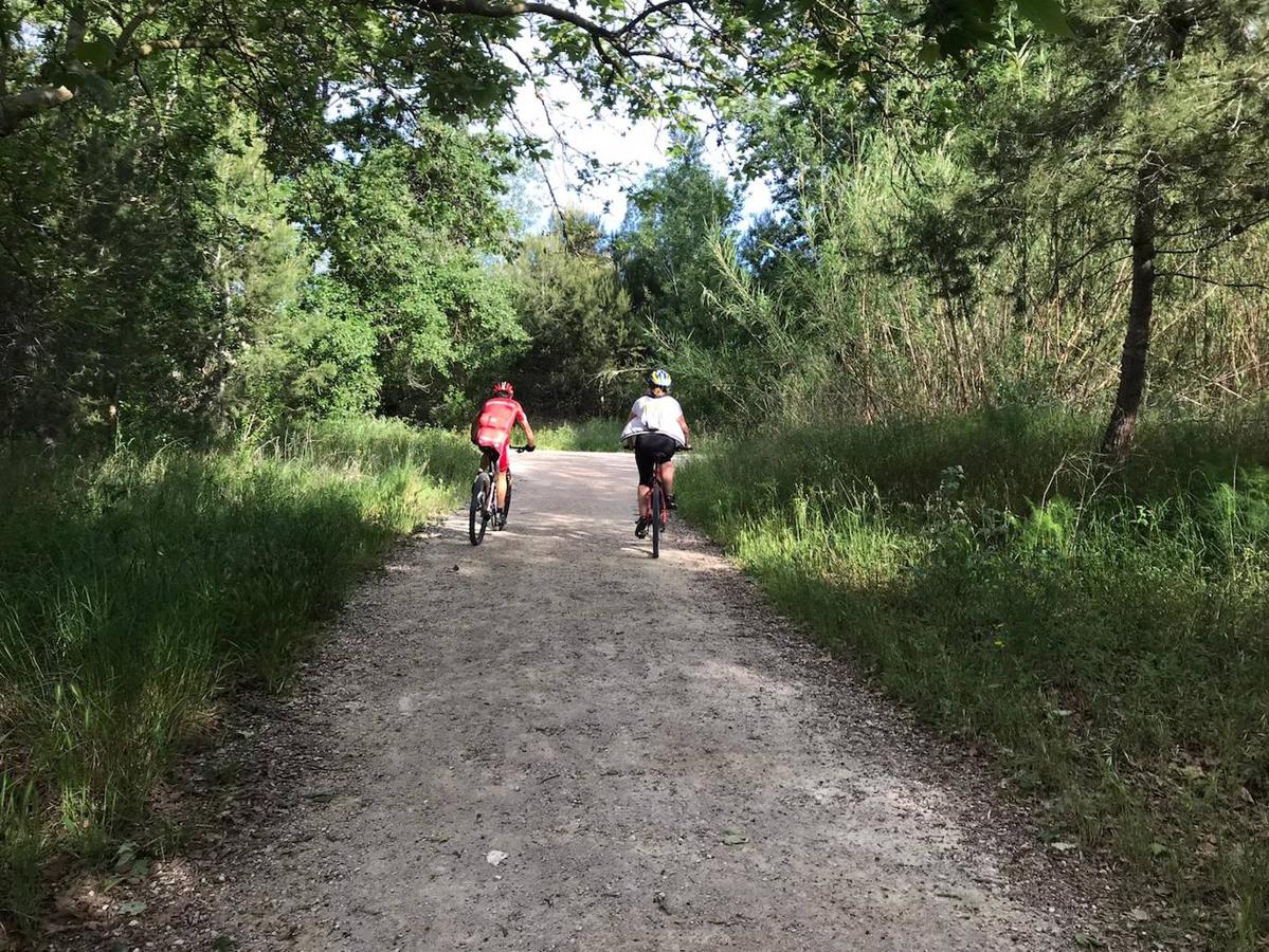 Fotos: Ciclistas, corredores y paseantes llenan de vida Valencia