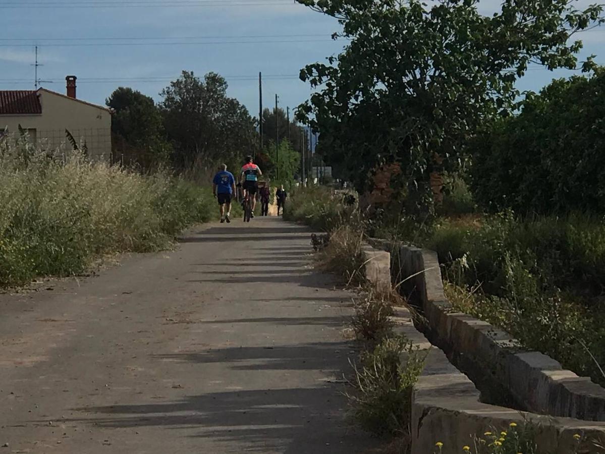 Fotos: Ciclistas, corredores y paseantes llenan de vida Valencia