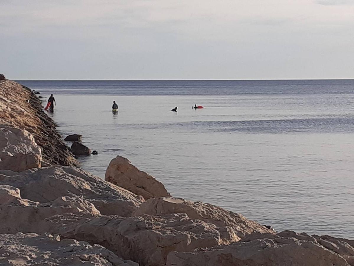 Fotos: Los primeros primeros paseos y ejercicios de la desescalada en Dénia