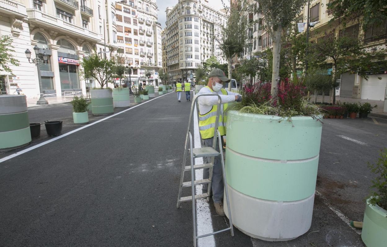 Colocación de plantas en los maceteros, ayer en la plaza del Ayuntamiento. damián torres